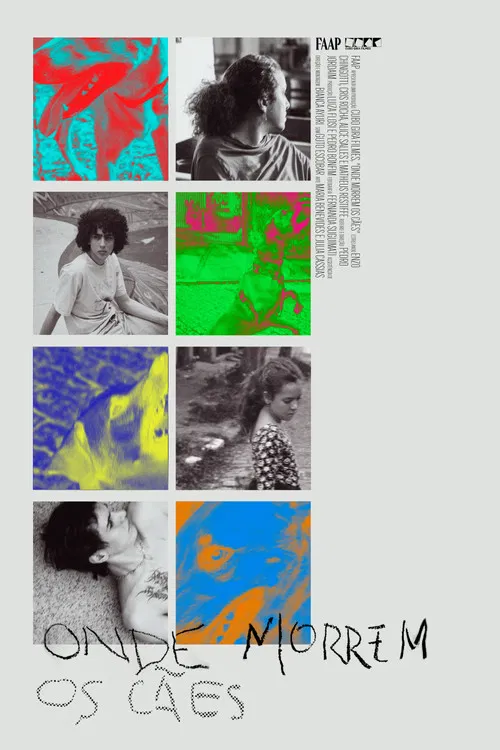 Onde Morrem os Cães poster