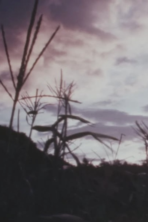 Eat a lot of Cabbage poster