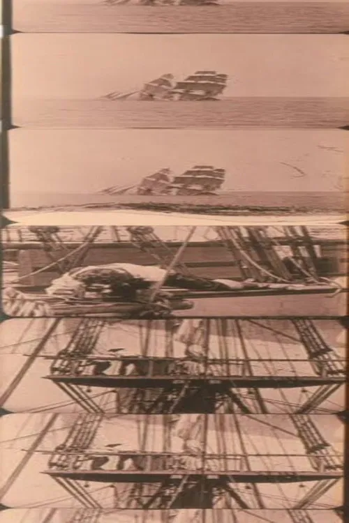 Untitled Joseph Cornell Film (The Wool Collage) poster