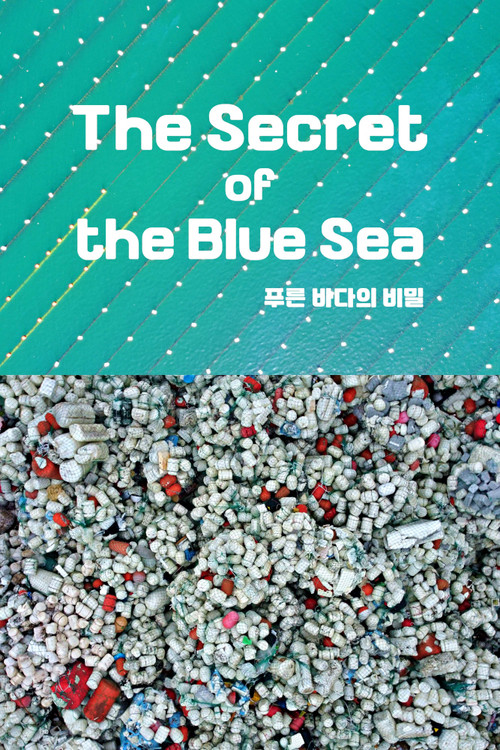 The Secret of the Blue Sea poster