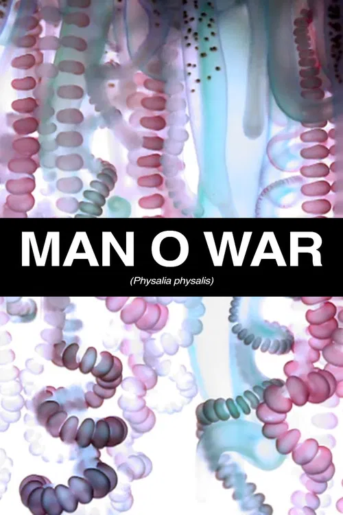 Man O War poster