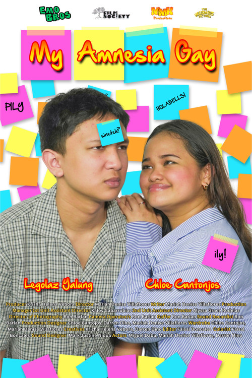 My Amnesia Gay poster