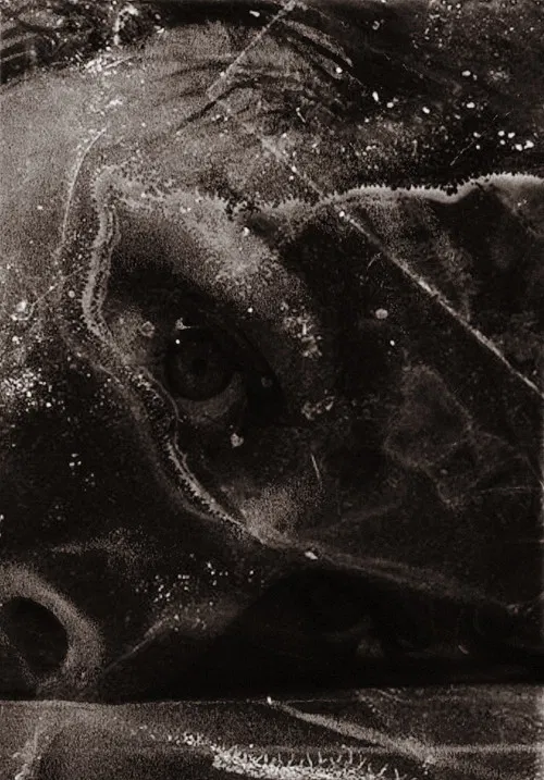 After Psycho Shower poster