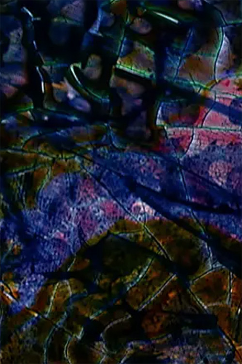 Neti Neti (Part III) poster