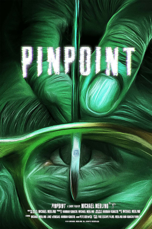 PINPOINT poster