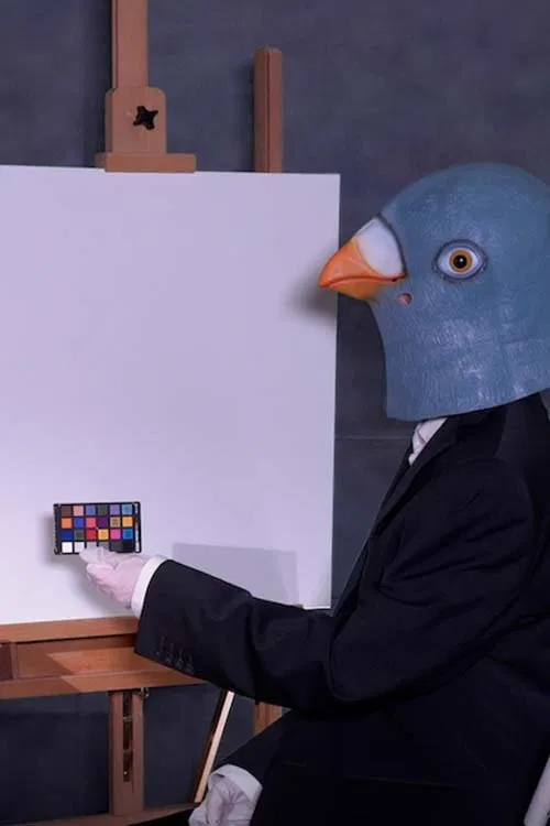 Birdsaver Report Volume 2 poster