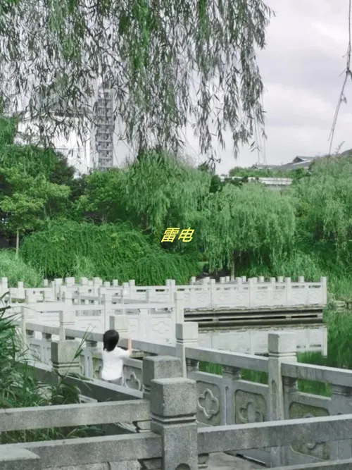 Distant Thunder poster