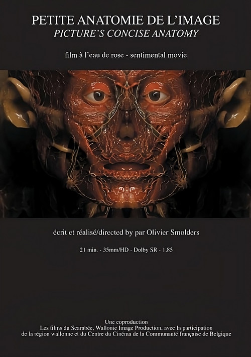 Petite anatomie de l'image poster