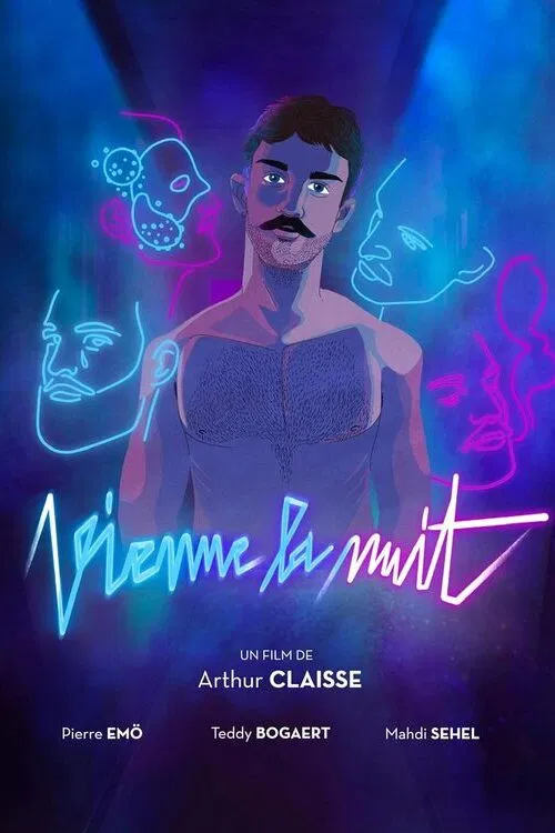 Vienne la nuit poster
