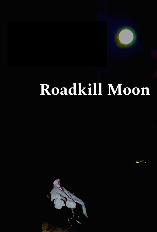 Roadkill Moon poster