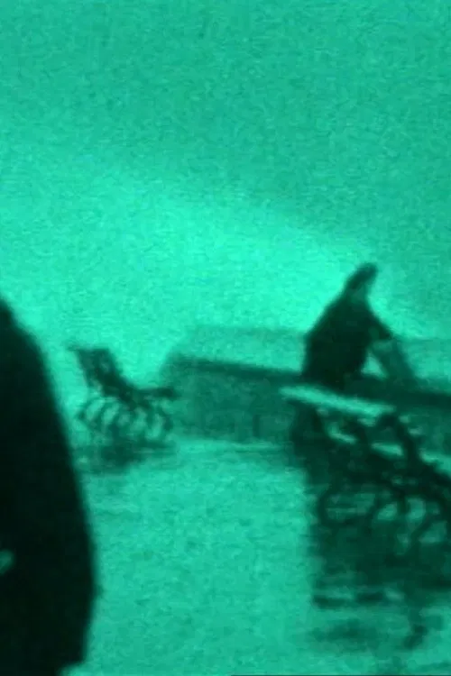 The Maelstrom: A Family Chronicle poster