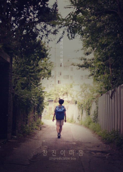 Unpredictable Boy poster