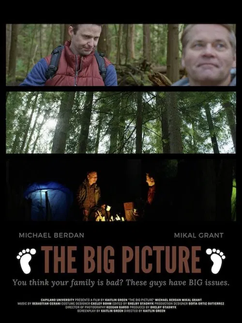 The Big Picture poster