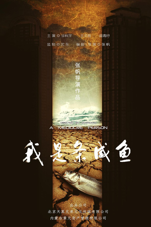 我是条咸鱼 poster