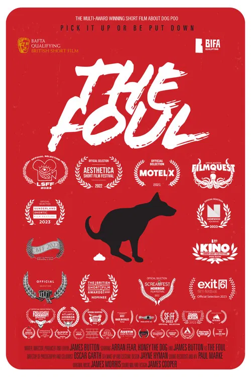The Foul poster