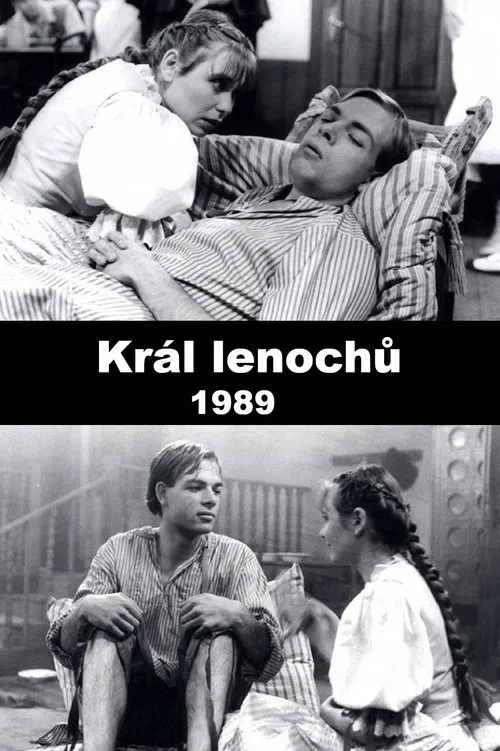 Král lenochů poster