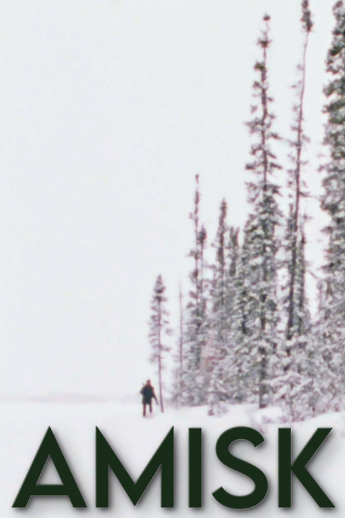Amisk poster