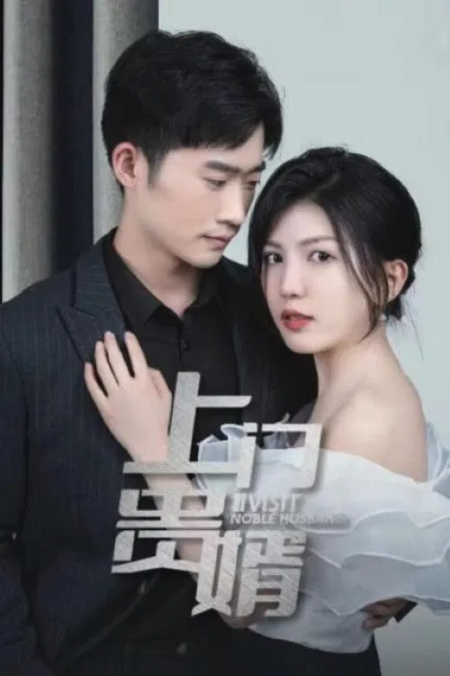 上门贵婿 poster
