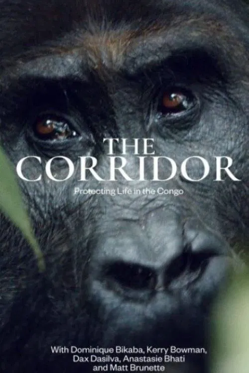 The Corridor poster