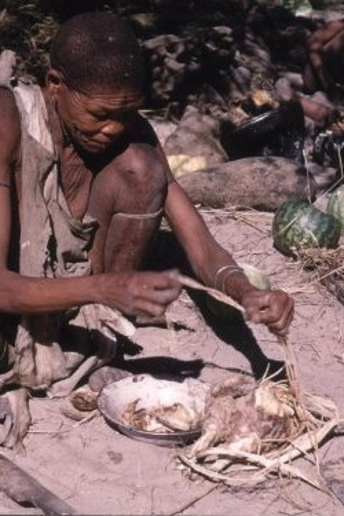 Bitter Melons poster