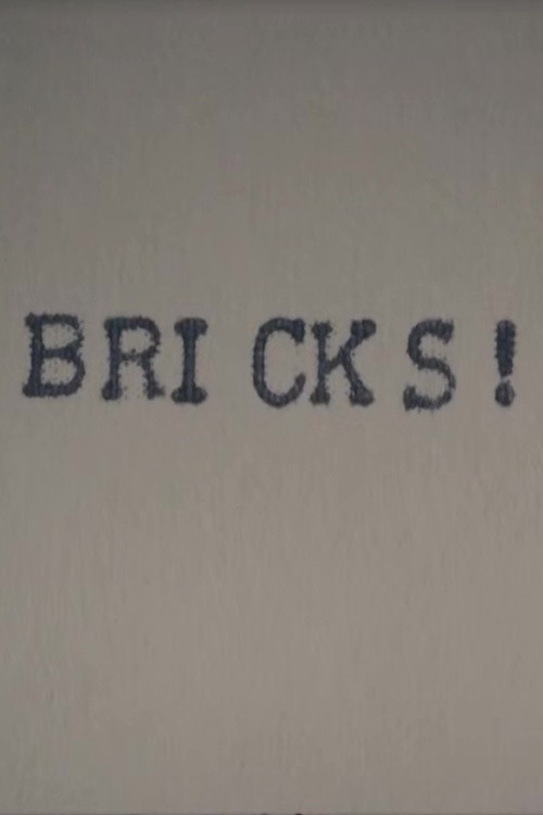 Bricks! poster