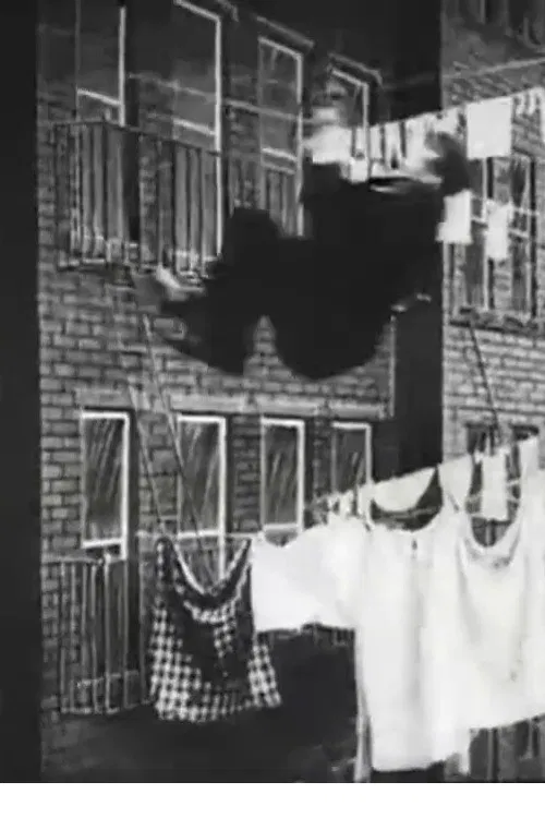 The Burglar's Slide for Life poster