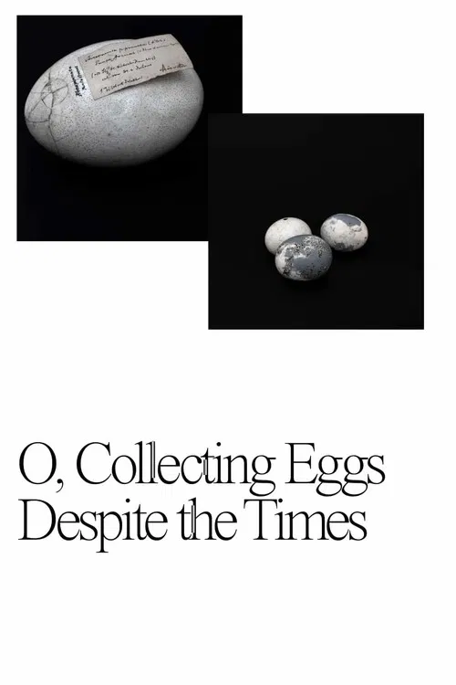 O, Collecting Eggs Despite the Times poster