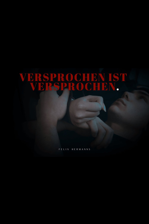 Versprochen Ist Versprochen poster
