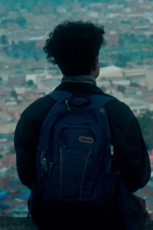 Perros de niebla poster