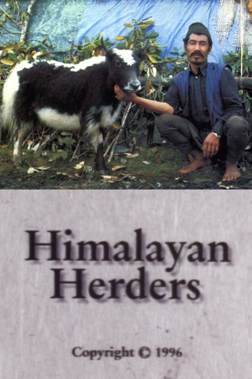 Himalayan Herders poster