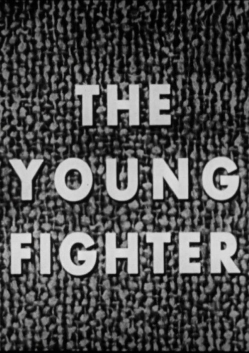 The Young Fighter poster