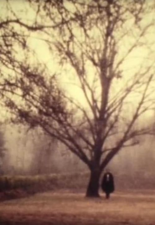 D. Jaime or the Portuguese Night poster