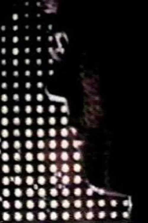 The Mirror Garden poster