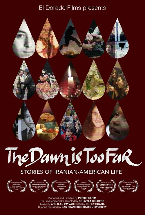 The Dawn is Too Far: Stories of Iranian-American Life poster