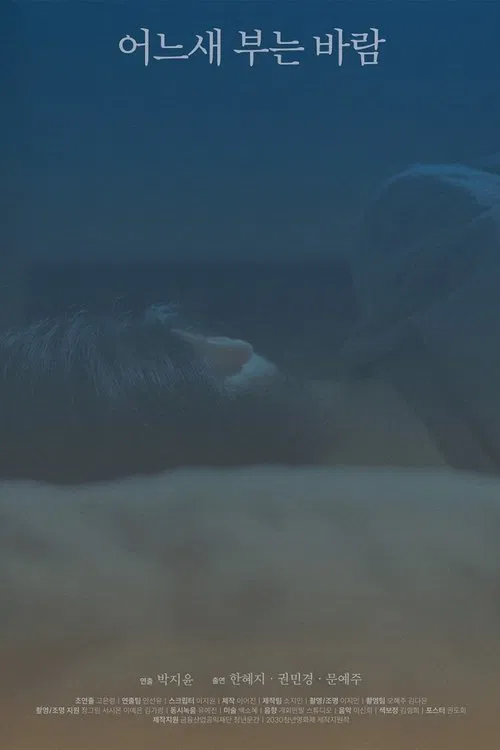 The Consolation of the Wind poster