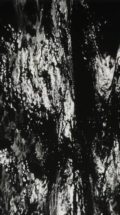 Bitemporal Vision: The Sea poster