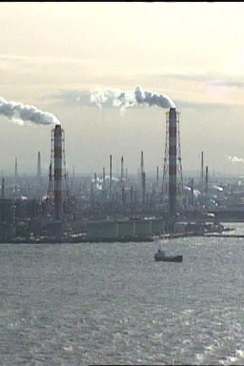 Where Has All the Pollution Gone? poster