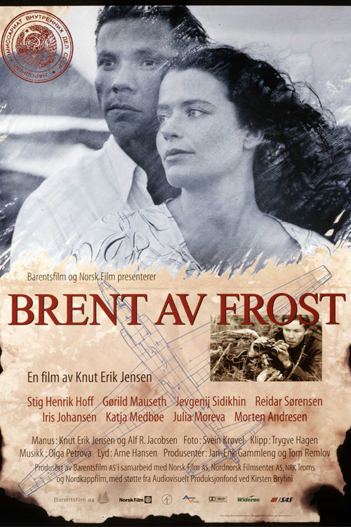 Burnt by Frost poster