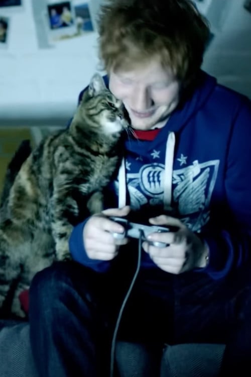 Ed Sheeran: Drunk poster