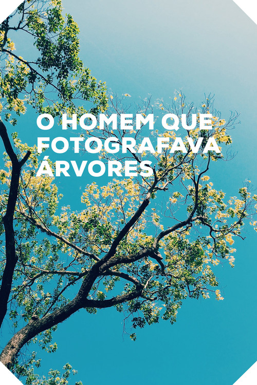 O Homem que Fotografava Árvores poster