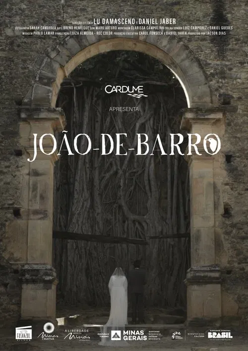 João-de-Barro poster