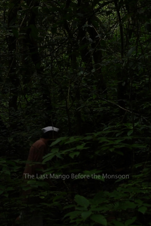 The Last Mango Before the Monsoon poster