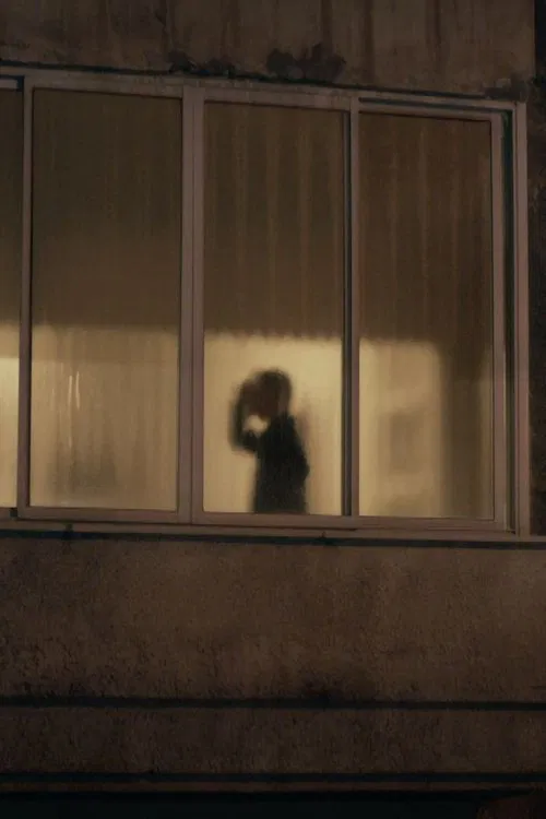 Shadow Puppets poster