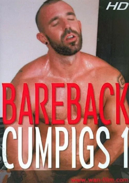 Bareback Cumpigs 1 poster