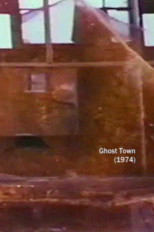 Ghost Town poster