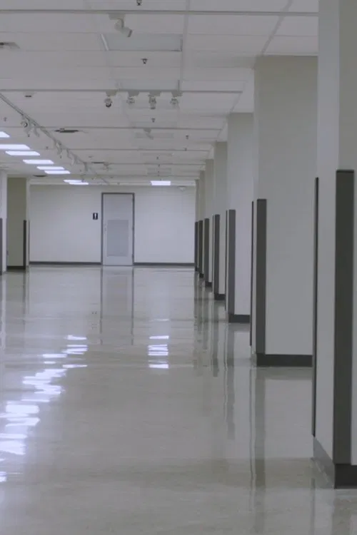 There is Nothing Underneath the West Virginia Wing poster