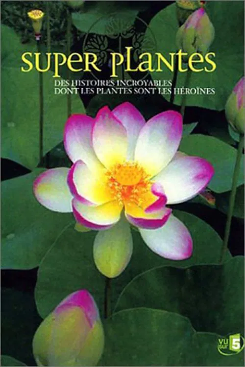 Super plantes poster