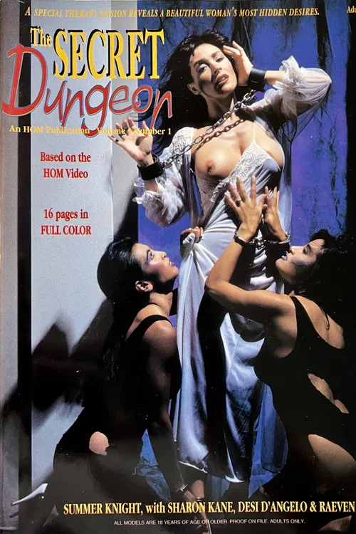 The Secret Dungeon poster