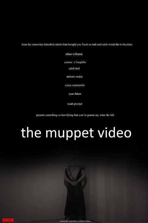 The Muppet Video poster