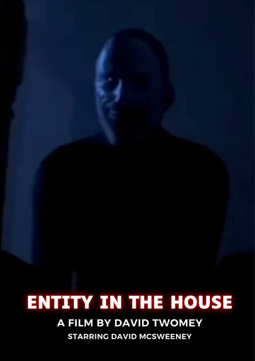 ENTITY IN THE HOUSE poster